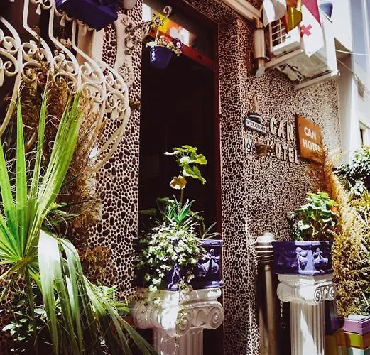 Ξενοδοχείο Hotel Can Bodrum 4*